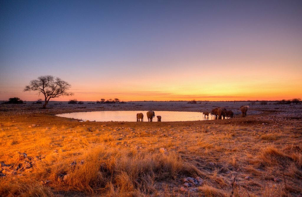 Etosha National Park, Namibia IMG